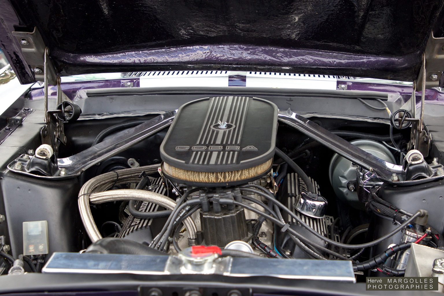 Ford Mustang Cobra 350 Shelby_04.jpg